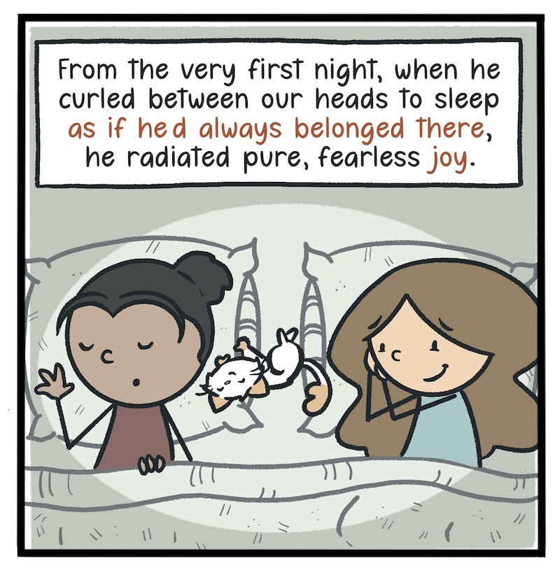 https://cdn.tinyview.com/kowal-comics/2026/09/24/bella-part-5-of-5/Kowal-Comics-Ep-36-Panel-5.jpg