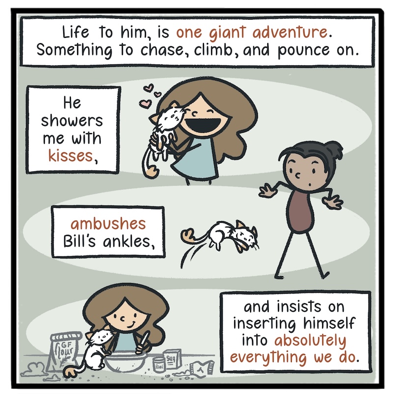 https://cdn.tinyview.com/kowal-comics/2026/09/24/bella-part-5-of-5/Kowal-Comics-Ep-36-Panel-6.jpg