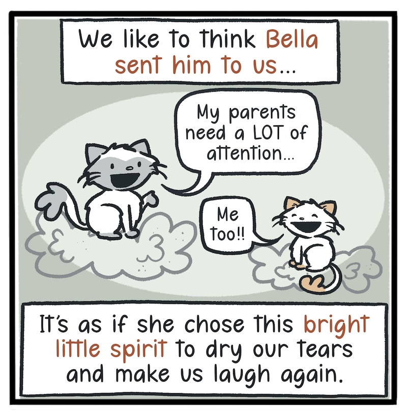 https://cdn.tinyview.com/kowal-comics/2026/09/24/bella-part-5-of-5/Kowal-Comics-Ep-36-Panel-7.jpg