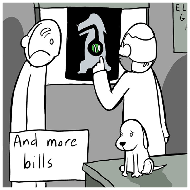 https://cdn.tinyview.com/lunarbaboon/2022/08/27/dog/dogpanel4.jpg