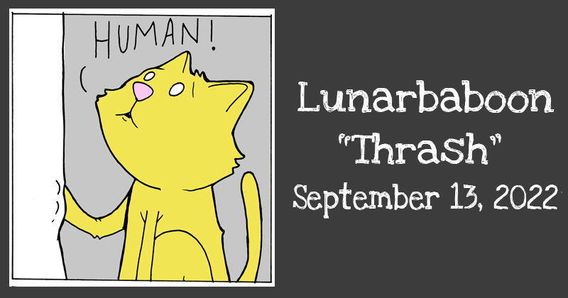 https://cdn.tinyview.com/lunarbaboon/2022/09/13/thrash/preview-96.jpg