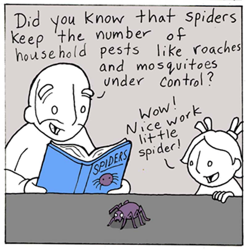 https://cdn.tinyview.com/lunarbaboon/2023/09/21/spiders/panel3spiders.jpg