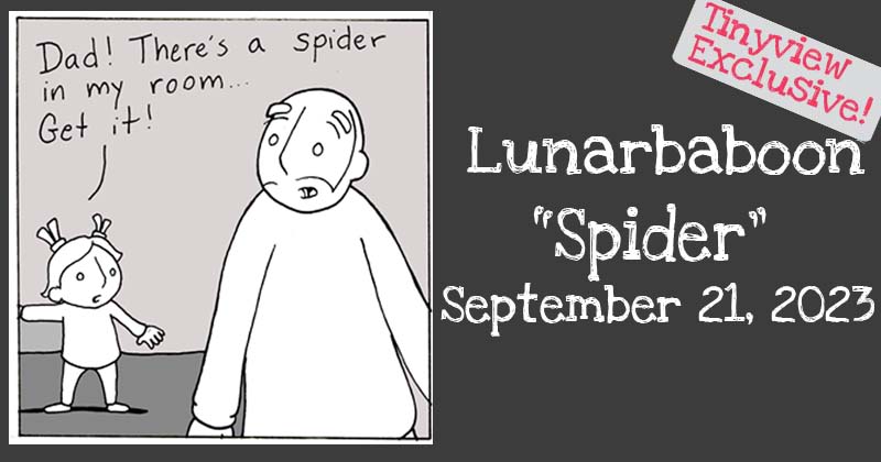 Spiders