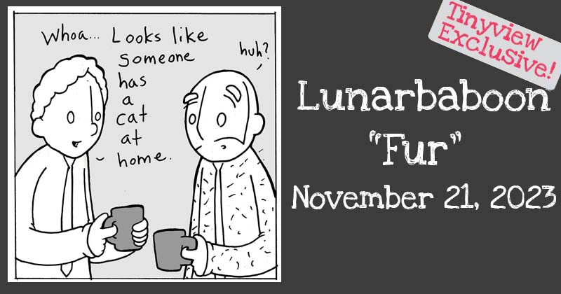 Fur