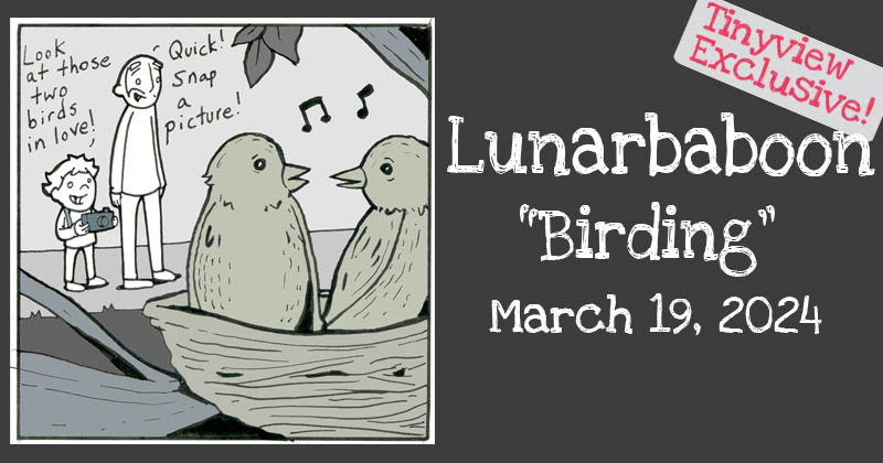Birding