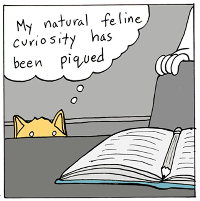 https://cdn.tinyview.com/lunarbaboon/2024/04/20/piqued/panel2piqued.jpg