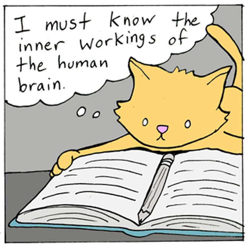 https://cdn.tinyview.com/lunarbaboon/2024/04/20/piqued/panel4piqued.jpg