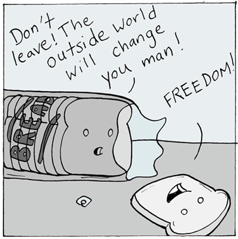 https://cdn.tinyview.com/lunarbaboon/2024/05/05/bread/panel1bread.jpg