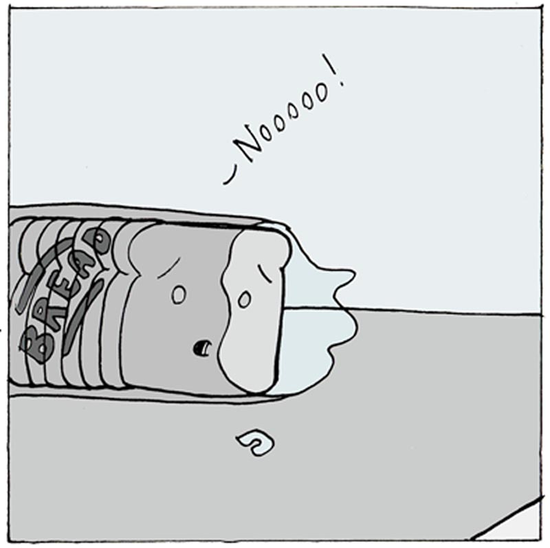 https://cdn.tinyview.com/lunarbaboon/2024/05/05/bread/panel2bread.jpg