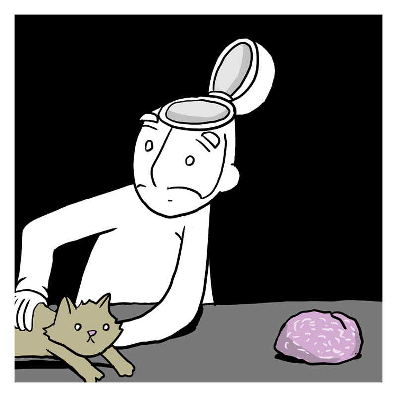 https://cdn.tinyview.com/lunarbaboon/2024/12/04/rebrain/panel4brain.jpg
