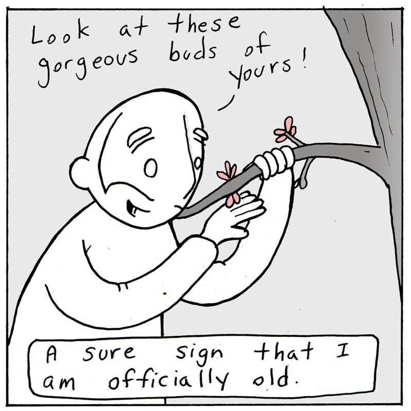 https://cdn.tinyview.com/lunarbaboon/2025/03/29/old/panel2-2025-03-29T152755.044.jpg