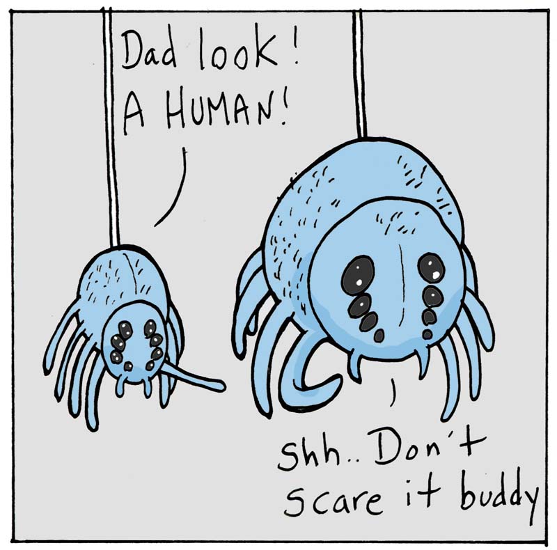 https://cdn.tinyview.com/lunarbaboon/2025/07/07/safe/panel1-2025-07-07T121410.437.jpg