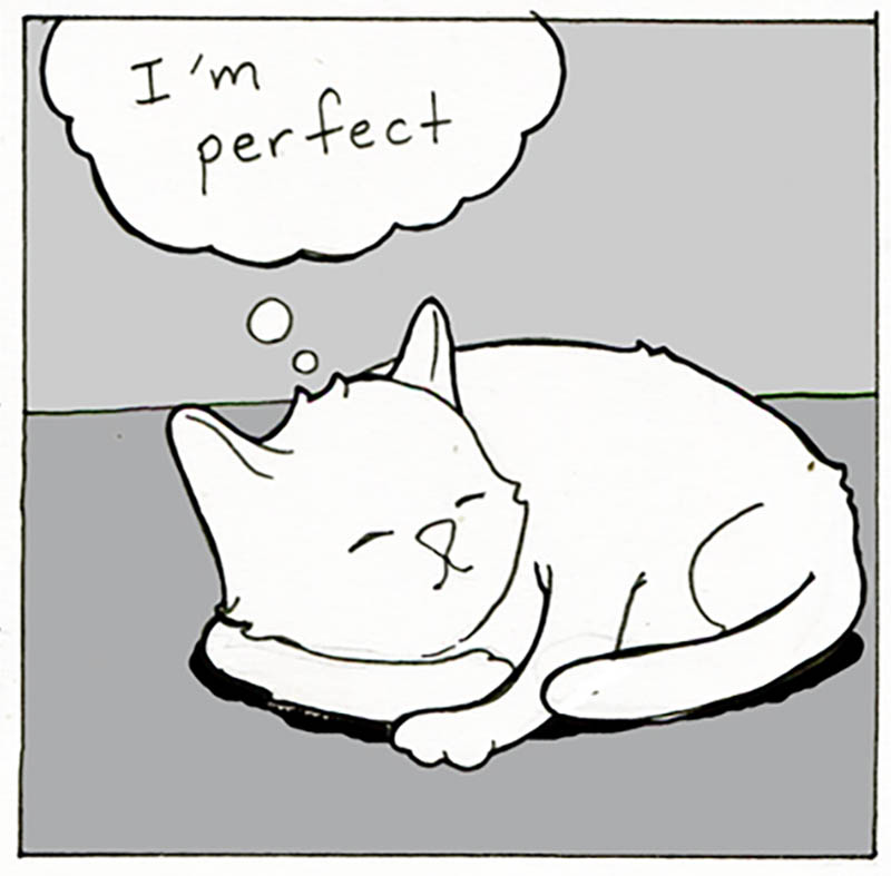 https://cdn.tinyview.com/lunarbaboon/2026/08/13/was/panel6.jpg