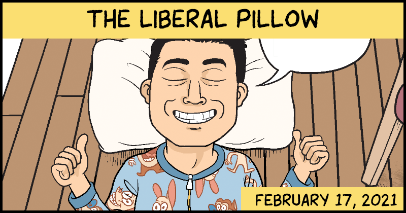 The Liberal Pillow