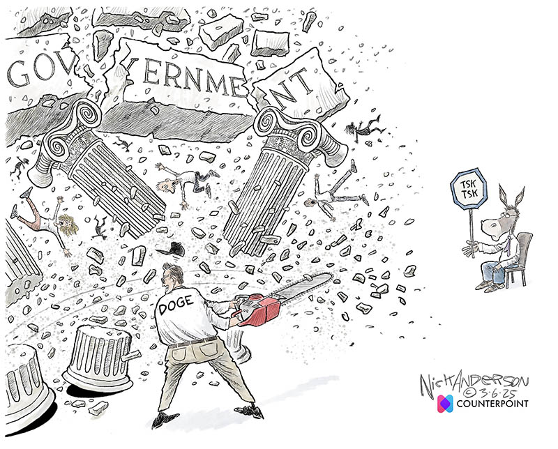 https://cdn.tinyview.com/nick-anderson/2025/03/06/tsk-tsk/TV.030625.DOGE-Democrats-tsk-panel.jpg
