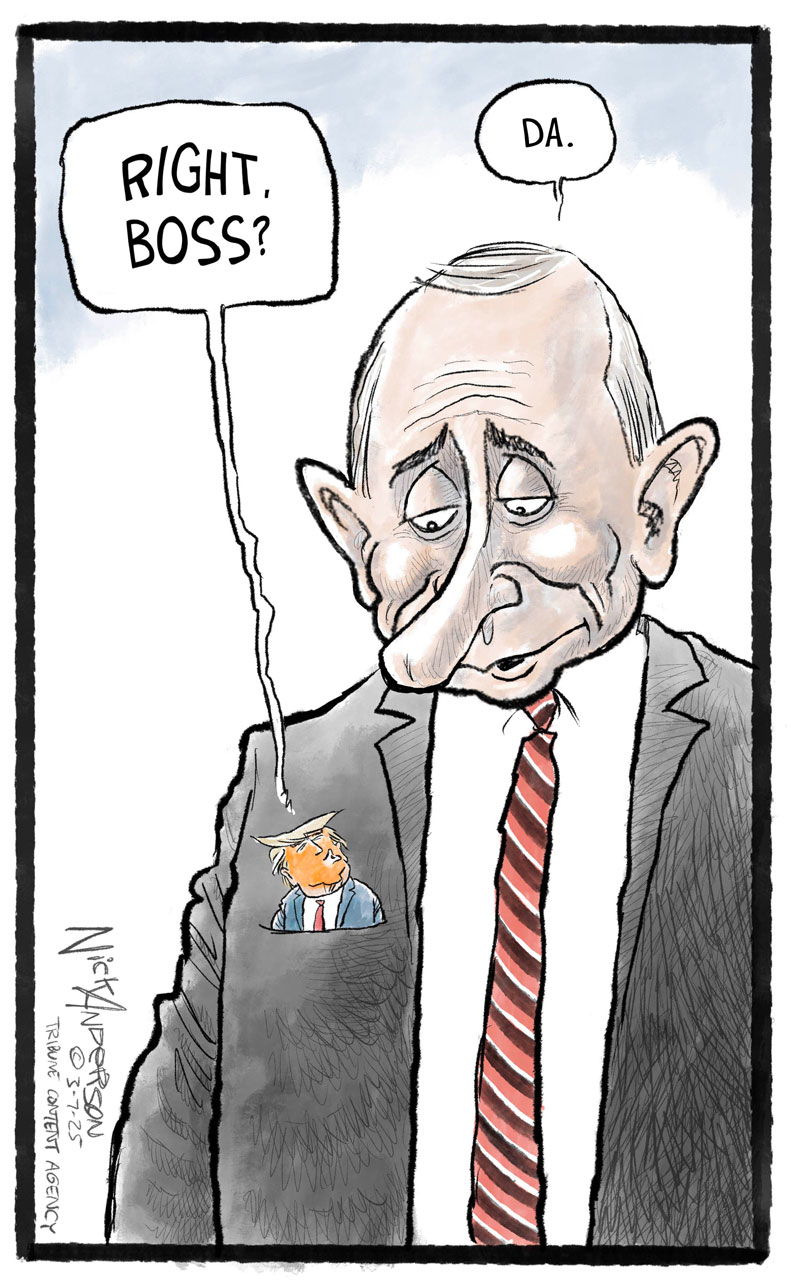 https://cdn.tinyview.com/nick-anderson/2025/03/07/speaking-of-weakness/030725.Bidens-weakness-panel-2.jpg