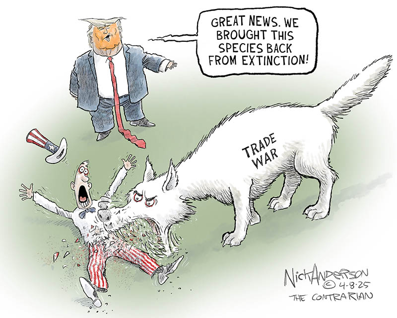 https://cdn.tinyview.com/nick-anderson/2025/04/08/dire-wolf/tv.040825.Dire-Wolf-Trade-War-copy.jpg