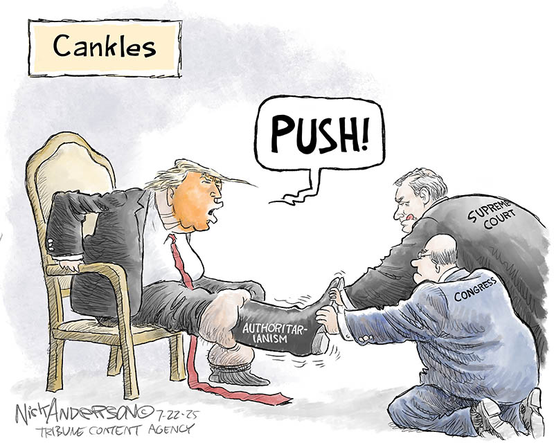 https://cdn.tinyview.com/nick-anderson/2025/07/22/cankles/072225.Trumps-Cankles-1.jpg