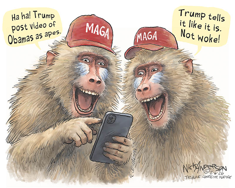 https://cdn.tinyview.com/nick-anderson/2026/02/05/the-durable-base/020626.MAGA_Baboons_-copy.jpg