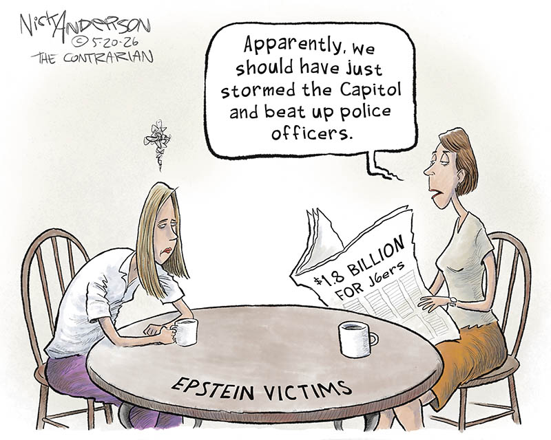 https://cdn.tinyview.com/nick-anderson/2026/05/19/slush-fund/052026.Epstein_Victims_Storm_Capitol-copy.jpg