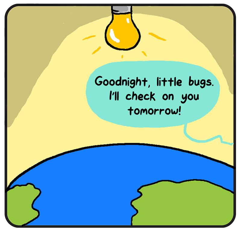 https://cdn.tinyview.com/olo/002-home/002_Olo_091920_08.jpg