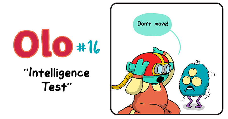 Intelligence Test