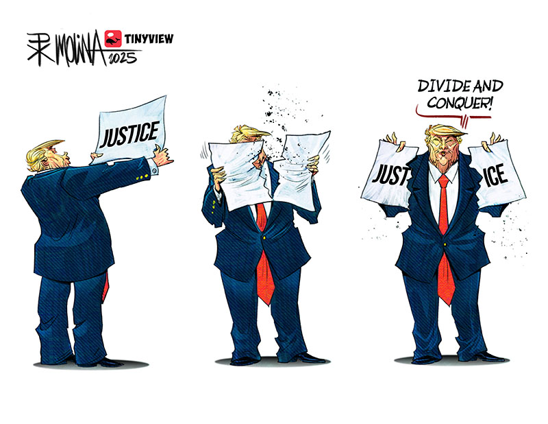 https://cdn.tinyview.com/pedro-x-molina/2025/06/19/trump-s-strategy/DC4.jpg