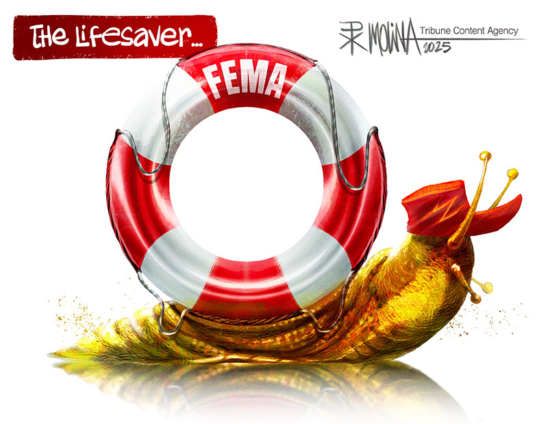 https://cdn.tinyview.com/pedro-x-molina/2025/07/14/the-lifesaver/LifeSaverTV.jpg