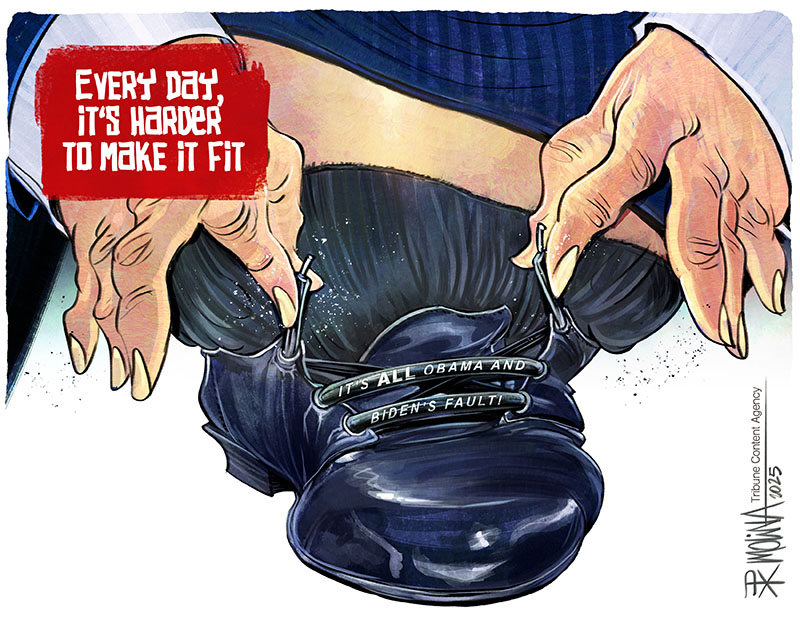 https://cdn.tinyview.com/pedro-x-molina/2025/07/23/it-s-all-about-the-shoes/ShoeTV.jpg