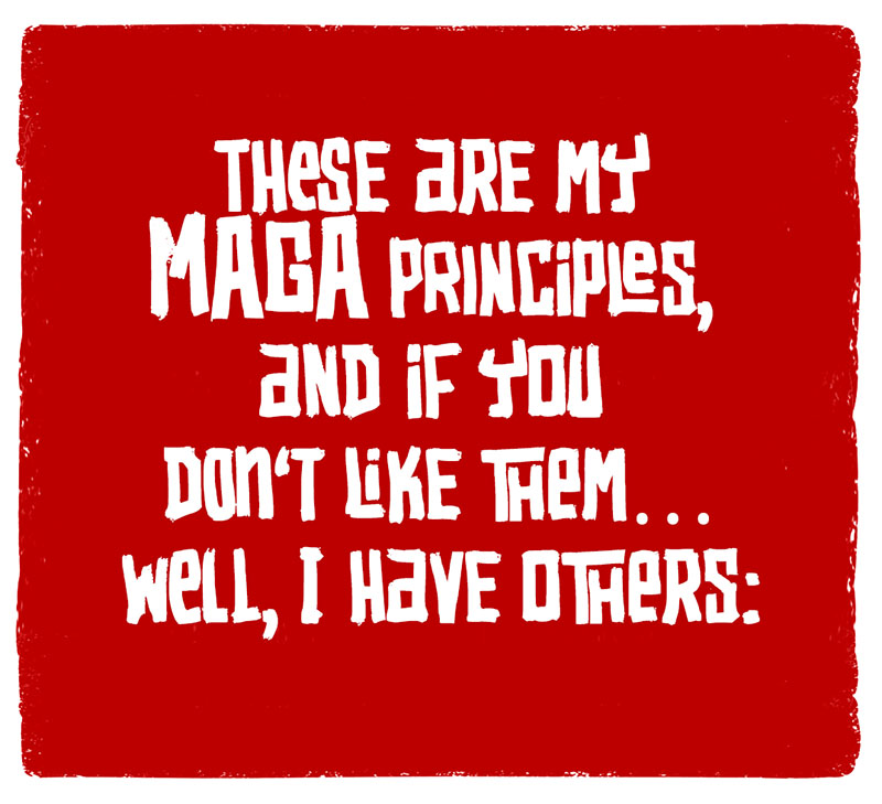 https://cdn.tinyview.com/pedro-x-molina/2026/07/22/maga-principles/MAGAP01.jpg