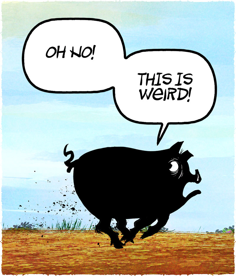 https://cdn.tinyview.com/pedro-x-molina/2026/09/16/wild-times/BCTV03.jpg