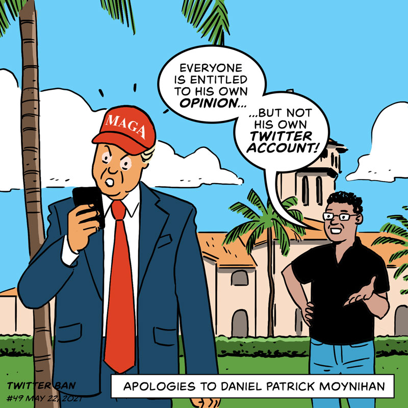 https://cdn.tinyview.com/product-plug/49-twitter-ban/product-plug-49-twitter-ban.jpg