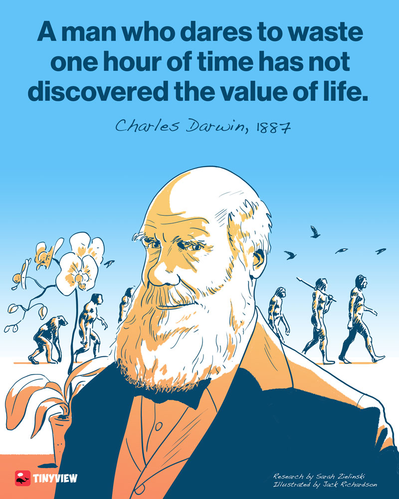 https://cdn.tinyview.com/quotes/2023/11/14/time/12-darwin.jpg