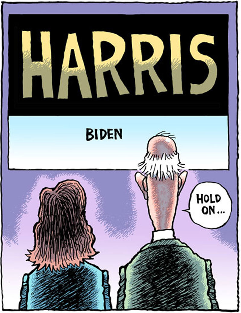 https://cdn.tinyview.com/rob-rogers/2020/2020-08-13-harris-biden/20200813_Harris_Biden_2020_02.jpg