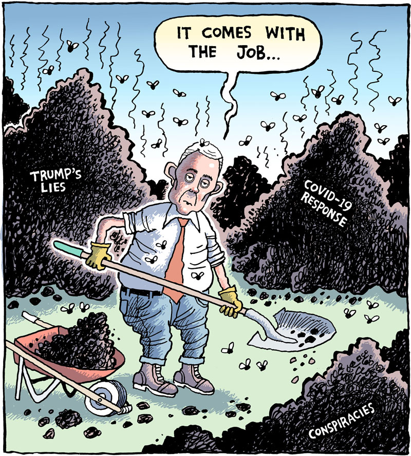 https://cdn.tinyview.com/rob-rogers/2020/2020-10-09-fly-debate/20201009_Fly_Debate_02.jpg
