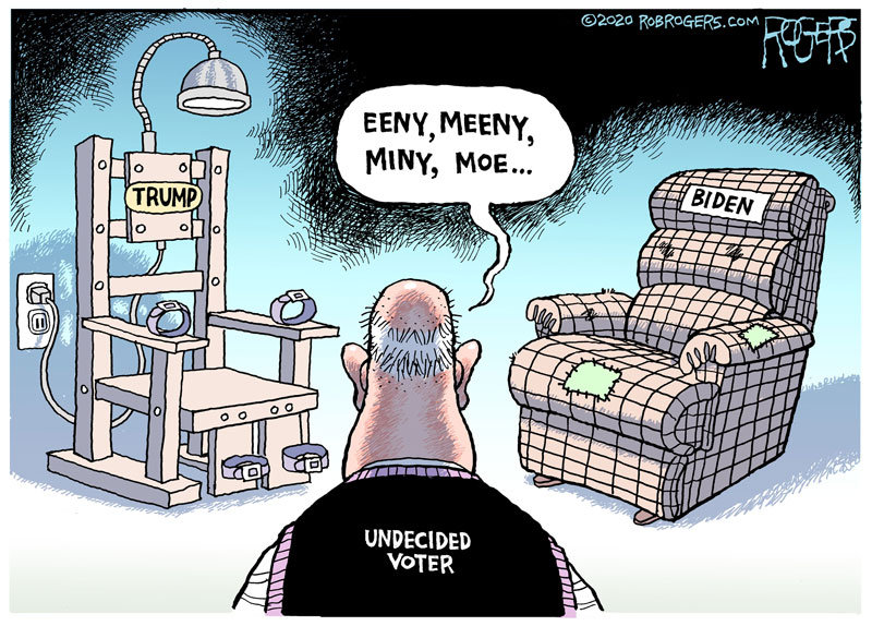 https://cdn.tinyview.com/rob-rogers/2020/2020-10-30-undecided/20201030_Undecided.jpg