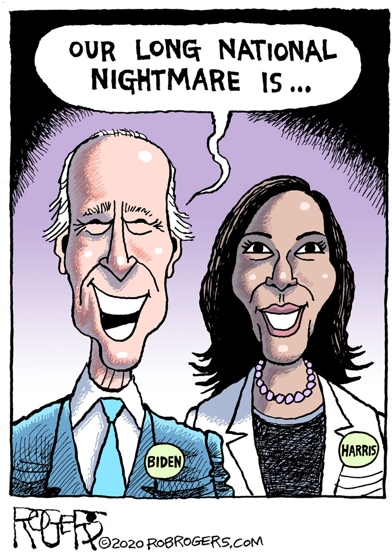 https://cdn.tinyview.com/rob-rogers/2020/2020-11-09-nightmare/20201109_Nightmare_01.jpg