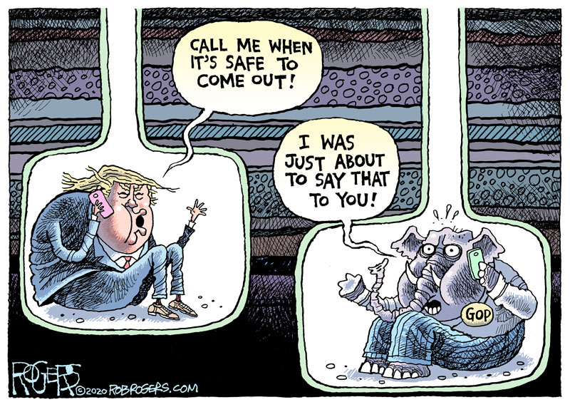 https://cdn.tinyview.com/rob-rogers/2020/2020-11-12-the-bunker/20201112_The_Bunker.jpg