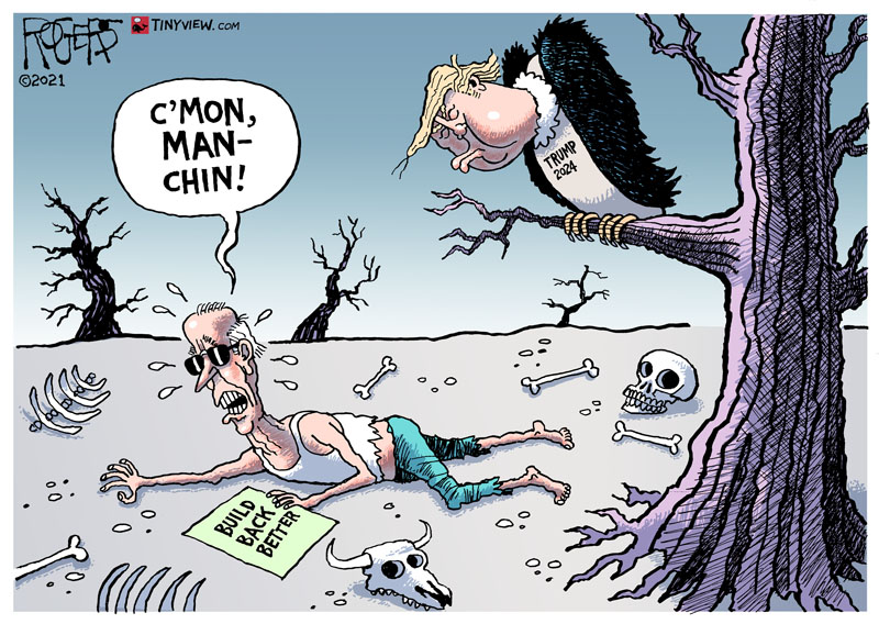 https://cdn.tinyview.com/rob-rogers/2021/10/21/vulture-trump/20211021_Vulture_Trump.jpg