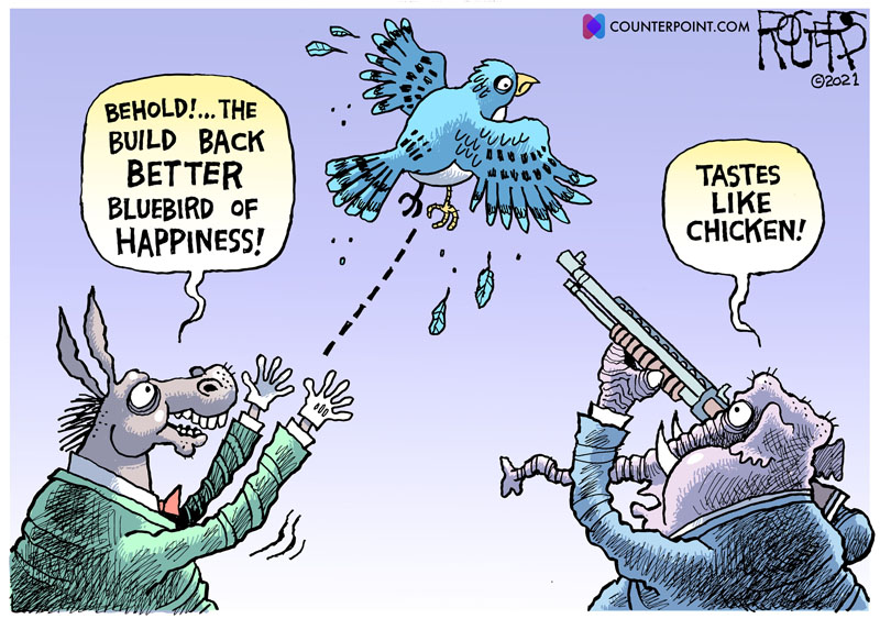 https://cdn.tinyview.com/rob-rogers/2021/11/30/bluebird/20211130_Bluebird.jpg