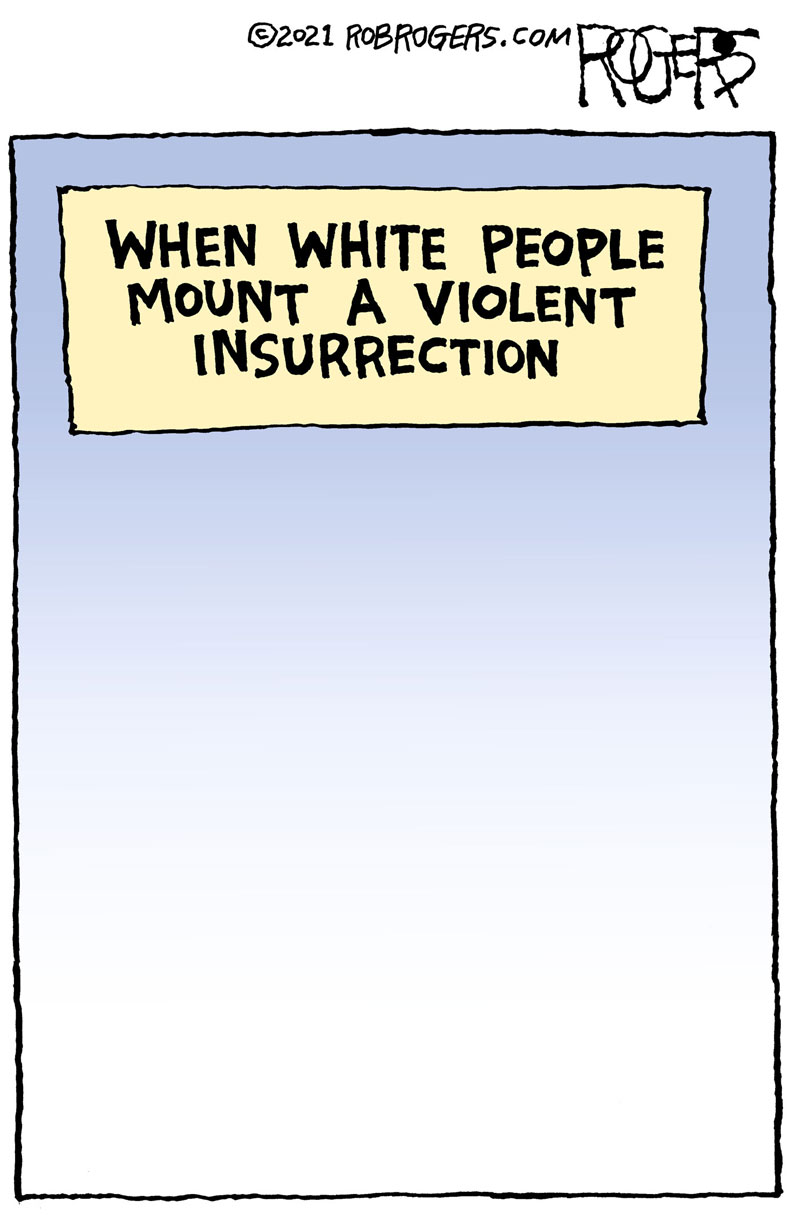 https://cdn.tinyview.com/rob-rogers/2021/2021-01-08-police-presence/20210108_Police_Presence_2.jpg