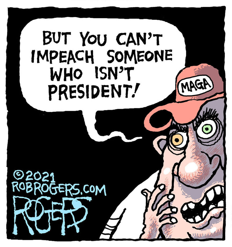 https://cdn.tinyview.com/rob-rogers/2021/2021-02-11-maga-logic/20210211_MAGA_Logic4.jpg