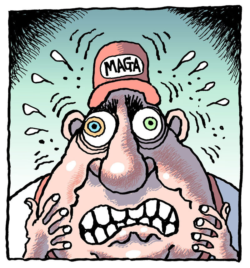 https://cdn.tinyview.com/rob-rogers/2021/2021-02-11-maga-logic/20210211_MAGA_Logic5.jpg