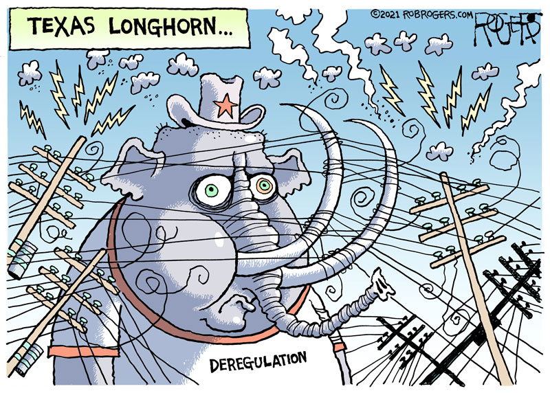 https://cdn.tinyview.com/rob-rogers/2021/2021-02-24-texas-longhorn/20210224_Texas_Longhorn.jpg