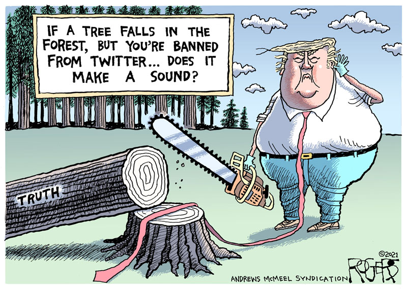 https://cdn.tinyview.com/rob-rogers/2021/2021-03-23-a-tree-falling/20210323_A_Tree_Falling.jpg