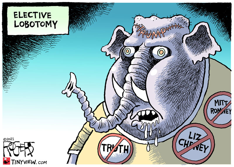 https://cdn.tinyview.com/rob-rogers/2021/2021-05-12-elective-lobotomy/20210512_Elective_Lobotomy.jpg