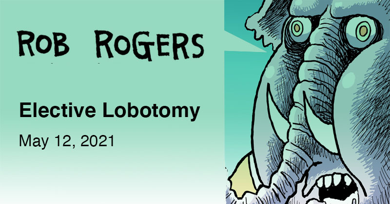 Elective Lobotomy