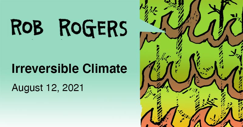 Irreversible Climate