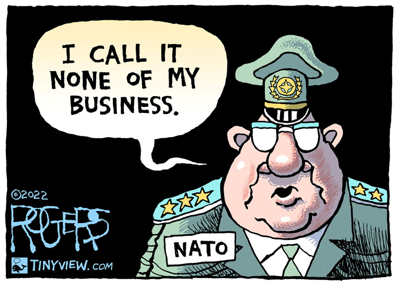 https://cdn.tinyview.com/rob-rogers/2022/04/14/genocide/20220414_Genocide4.jpg