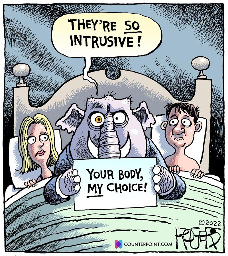 https://cdn.tinyview.com/rob-rogers/2022/05/13/gop-bedfellow/20220513_GOP_Bedfellow2.jpg